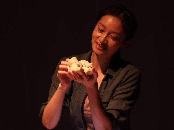 沈佳妮主演的电视剧哪些