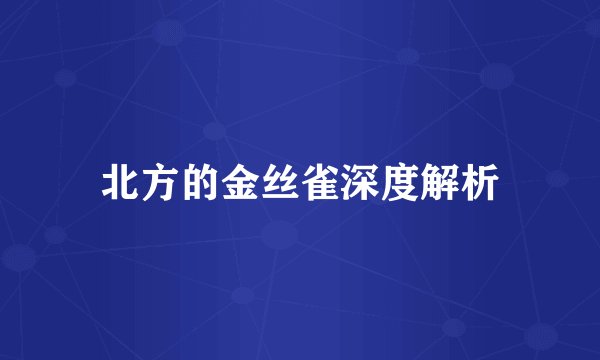 北方的金丝雀深度解析