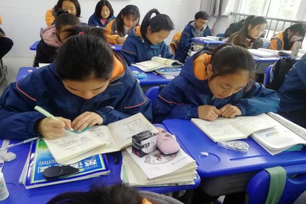 游来游去造句二年级表现人的