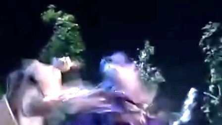 霹雳皇朝之龙城圣影的剧情简介