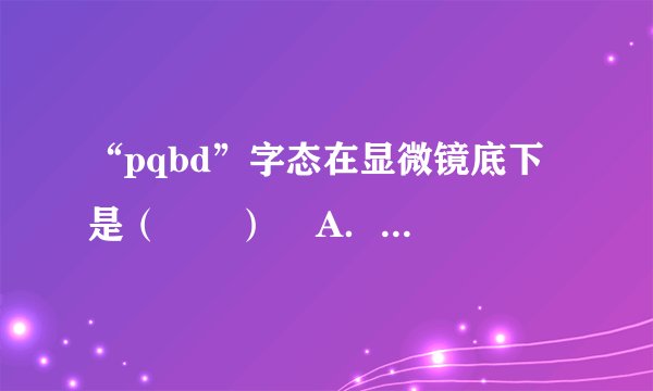 “pqbd”字态在显微镜底下是（　　）    A．pbdq  B．pbqd  C．pqbd  D．bpq