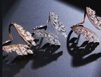 谁知道天使之翼的含义？