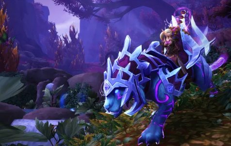 猎人宠物有哪些？