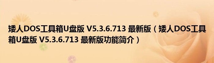 矮人DOS工具箱U盘版V536713最新版矮人DOS工具箱U盘版V536713最新版功能简介