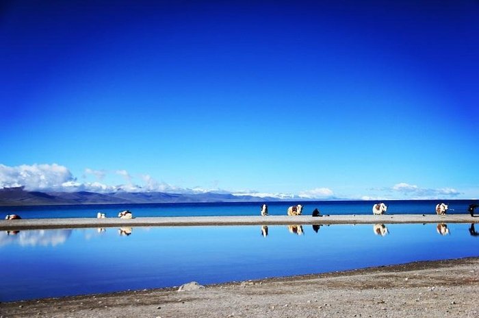 纳木错景区游客买票被侮辱一热议,该景区对此有何回应?