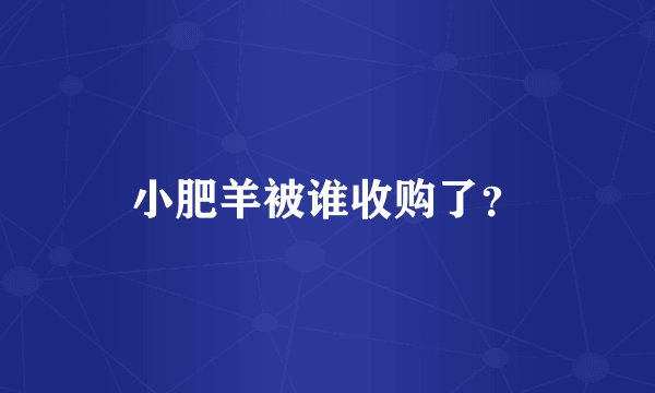 小肥羊被谁收购了？