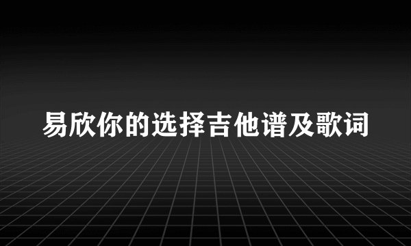 易欣你的选择吉他谱及歌词