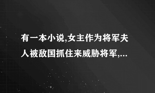 有一本小说,女主作为将军夫人被敌国抓住来威胁将军,却被将军一箭射到城墙之上,而