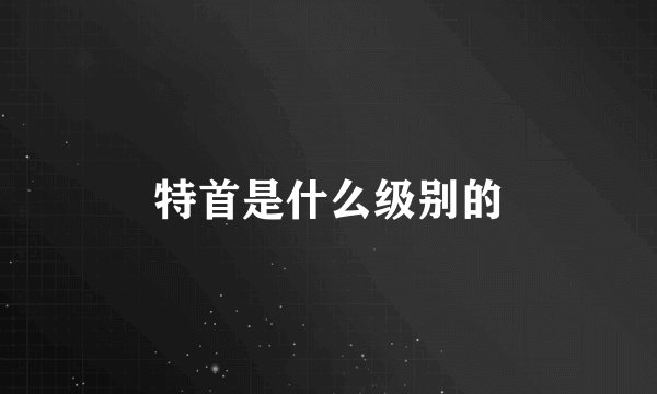 特首是什么级别的