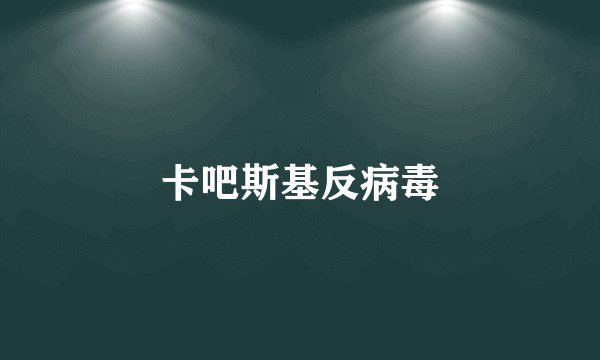 卡吧斯基反病毒