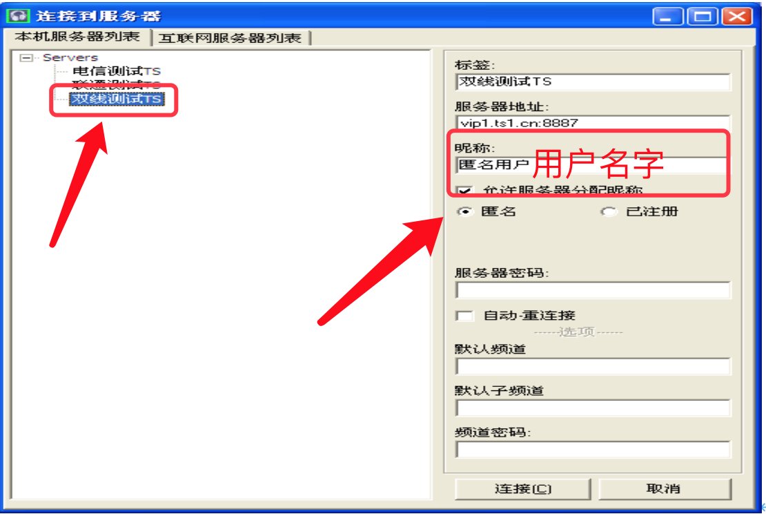 ts语音怎么用？