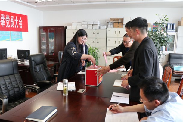 我国政体的组织形式是什么意思