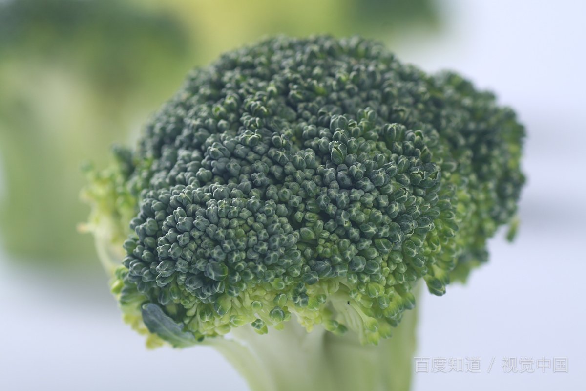 能否指点下花椰菜烩蟹肉棒的常见做法？