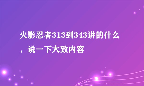 火影忍者313到343讲的什么，说一下大致内容