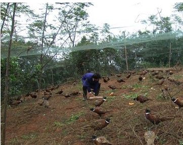 cctv7致富经是一档怎样的节目?
