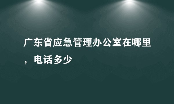 广东省应急管理办公室在哪里，电话多少