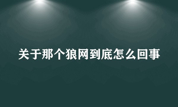 关于那个狼网到底怎么回事