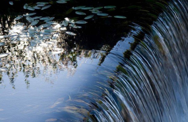 流量单位GPM是什么意思?