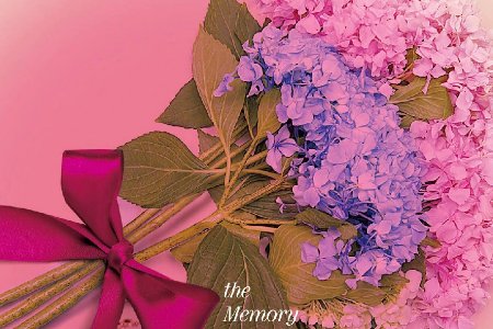 半暖时光结局是什么