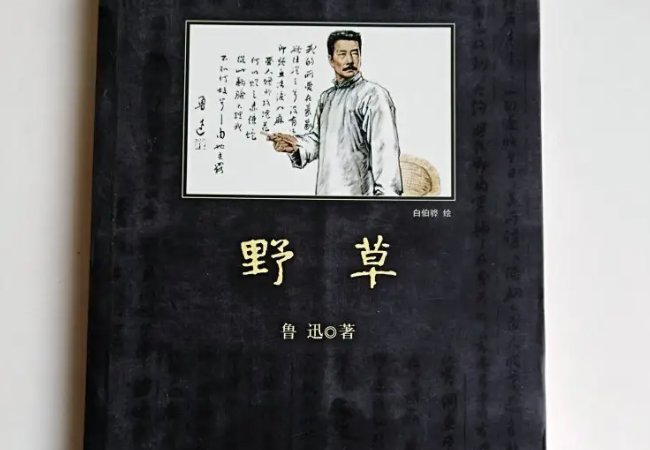 鲁迅先生的主要作品简介
