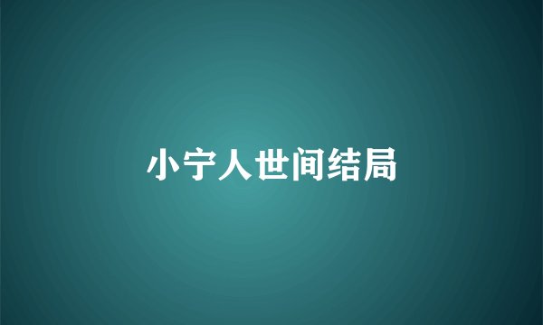 小宁人世间结局