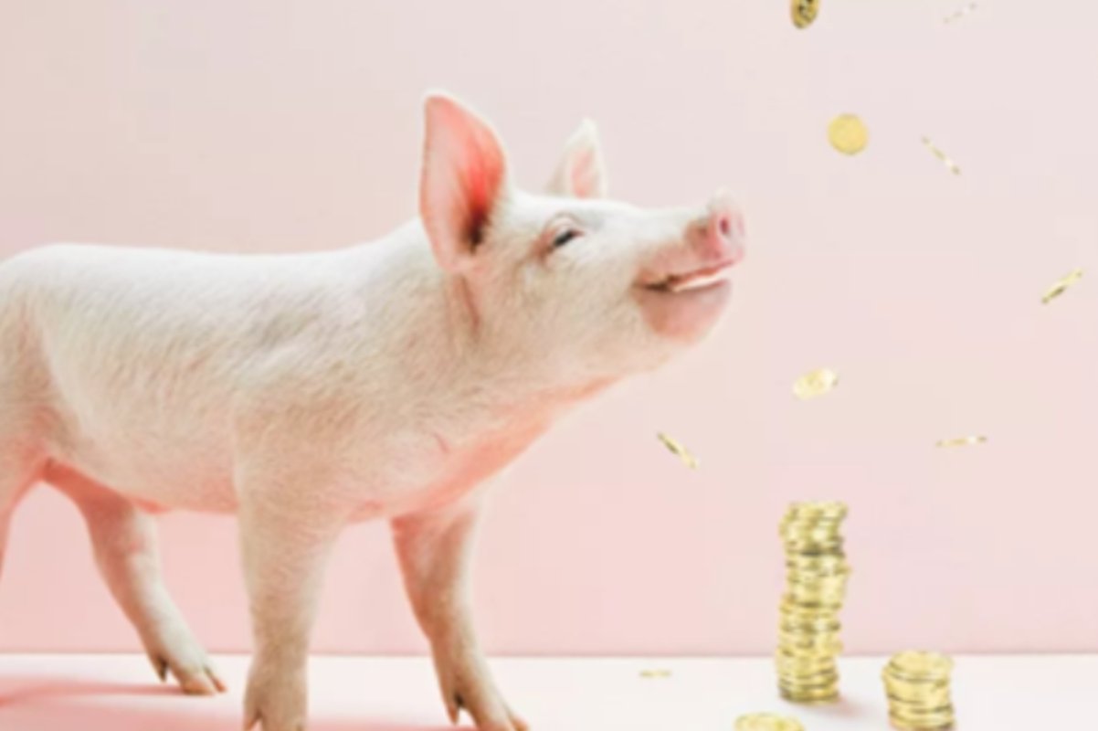 恸哭流涕指一生肖