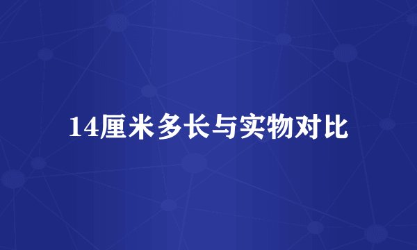 14厘米多长与实物对比