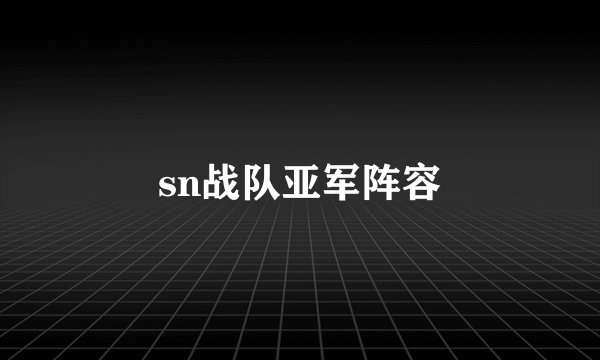 sn战队亚军阵容