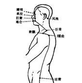 对奇经八脉论述正确的是