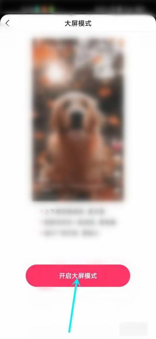 快手大屏模式在哪里设置?
