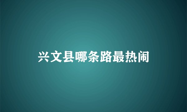 兴文县哪条路最热闹