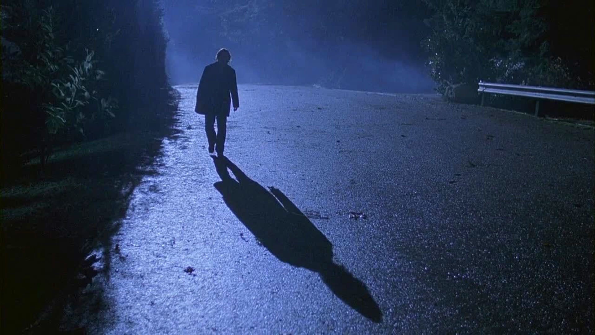 骑弹飞行的介绍