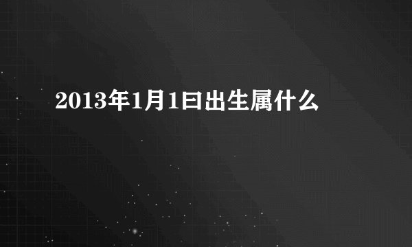2013年1月1曰出生属什么