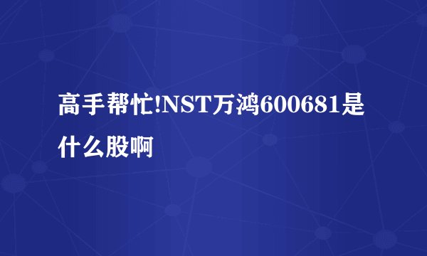 高手帮忙!NST万鸿600681是什么股啊
