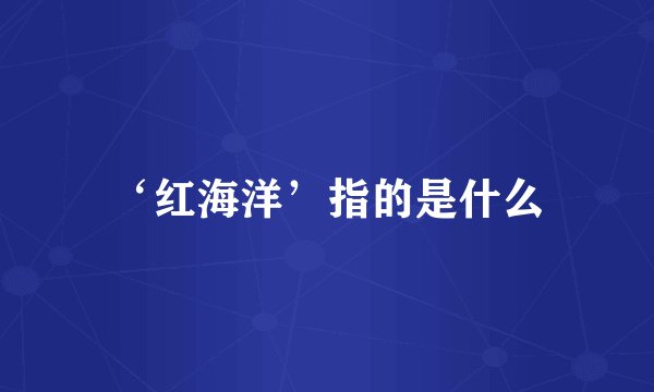 ‘红海洋’指的是什么