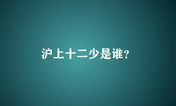 沪上十二少是谁？