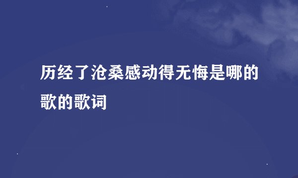 历经了沧桑感动得无悔是哪的歌的歌词