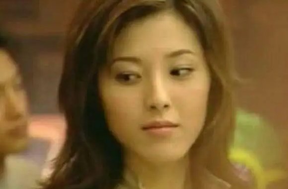 男才女貌电视剧演员表