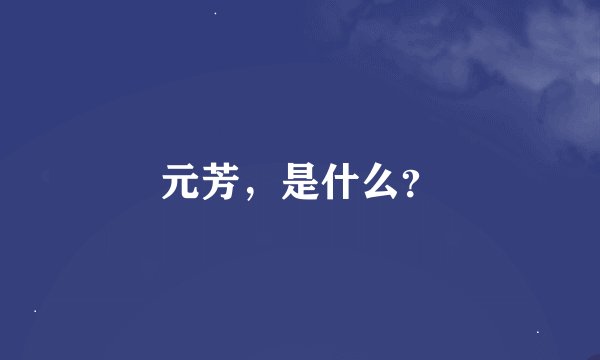 元芳，是什么？