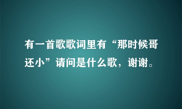 有一首歌歌词里有“那时候哥还小”请问是什么歌，谢谢。