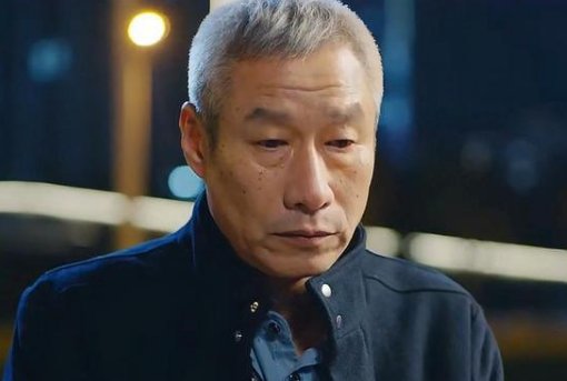 刘佩琦演过的电视剧