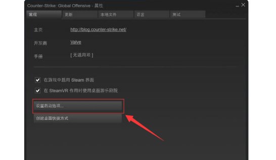 《csgo》国际服启动项是什么?