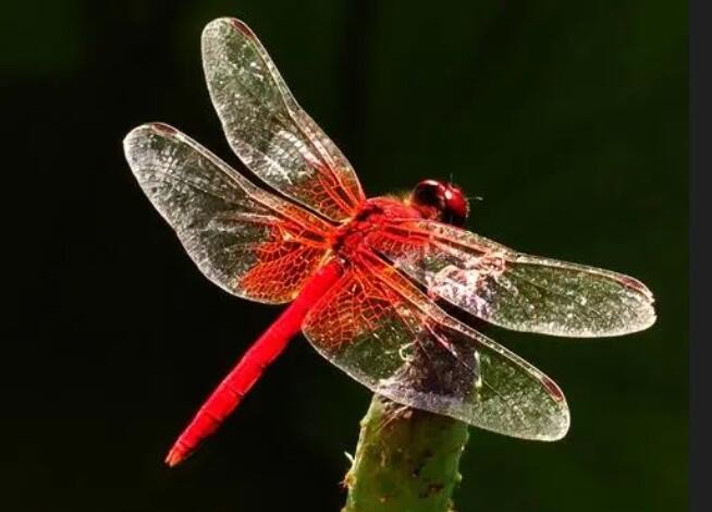 123这个数字代表什么呢？