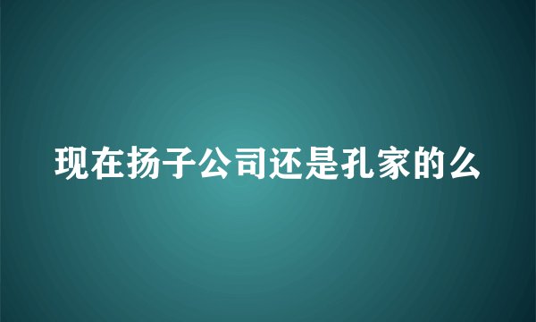 现在扬子公司还是孔家的么