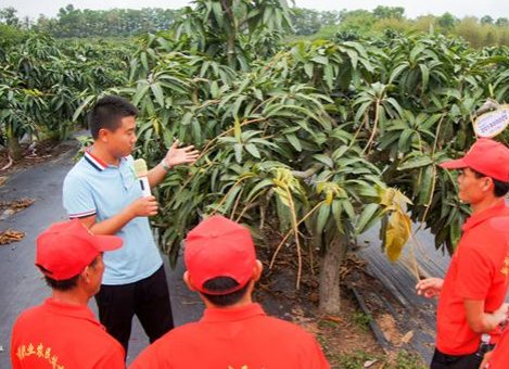 农民伯伯说下吧下吧我要什么