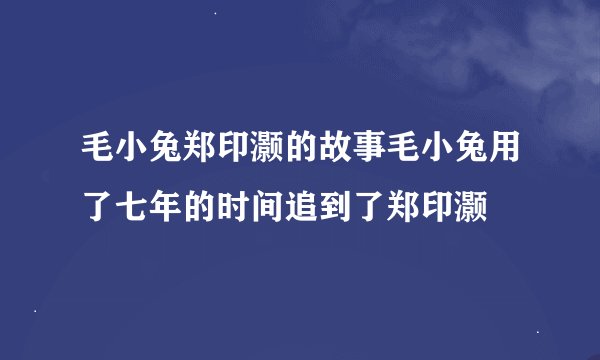 毛小兔郑印灏的故事毛小兔用了七年的时间追到了郑印灏