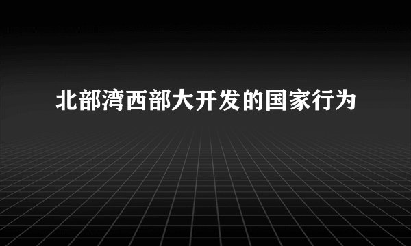 北部湾西部大开发的国家行为