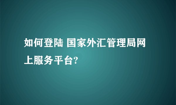 如何登陆 国家外汇管理局网上服务平台?