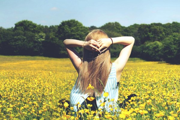 小白花是什么意思