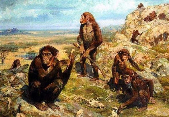 人是由古猿进化而来的，那古猿是从哪儿来的呢？